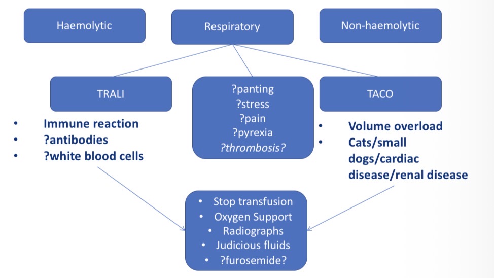 <p>Panting, stress, pain, pyrexia, thrombosis</p><p>TRALI (transfusion related acute lung injury) - immune reactions</p><p>Taco (transfusion associated circulatory overload)- vol overload in cardiac/ renal disease</p><p>Stop transfusion, oxygen support, radiographs </p>