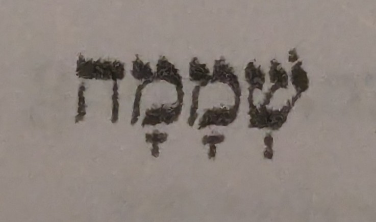 term image