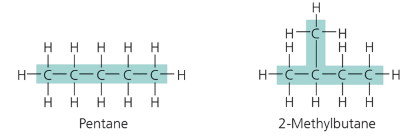 <p>structural isomers</p><p>Structural isomers differ in the arrangement of covalent bonding partners, as shown in these two isomers of C§H12.</p>