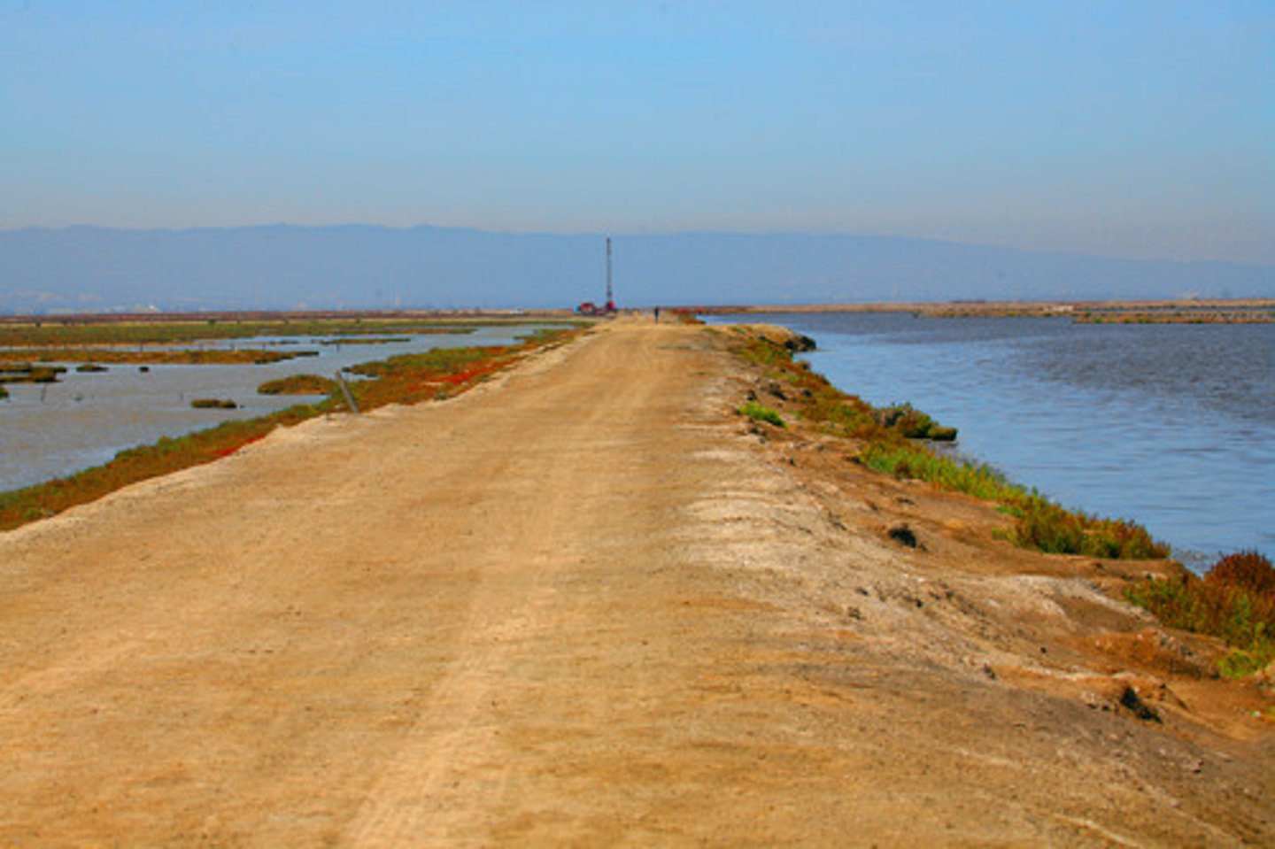 <p>- Raised areas adjacent to the channel</p><p>- Form during flood events</p>