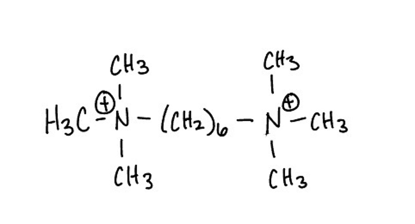 <p>ganglionic blocker</p>