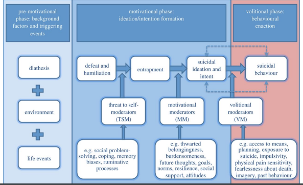 ^ O'Connor's Integrated Motivational-Volitional Model ^