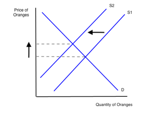 <p>Which of the following would cause the change illustrated above?</p><ul><li><p>A new machine allows the oranges to be harvested twice as fast</p></li><li><p>Buyers decide to eat bananas instead of oranges</p></li><li><p>Disease kills 20% of the orange trees </p></li><li><p>More people prefer to drink orange juice</p></li></ul>