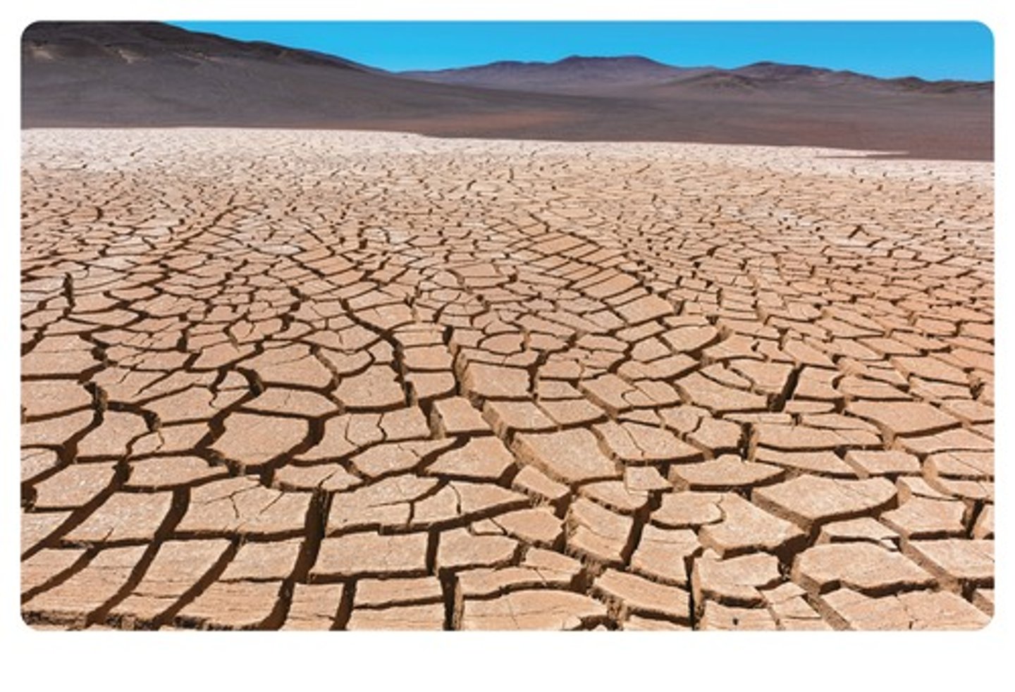 <p>dryness (n) khô / sự khô</p>