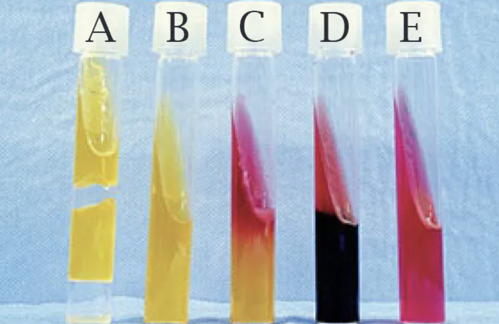 <p>What test is this?</p>