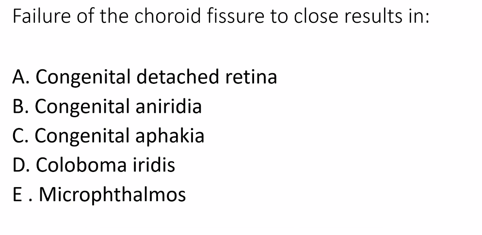 <p>D) </p><p>choroid: membrane/skin</p><p>fissure: crack </p><p>choroid fissure: the split (groove) where the choroid-like membrane attaches</p>