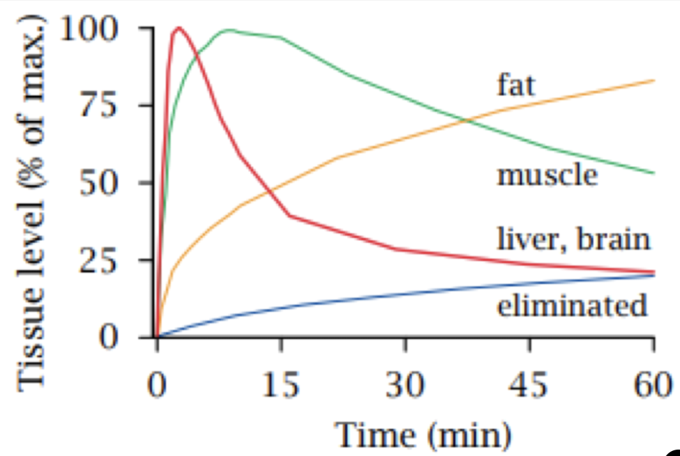 what pharmacokinetic process is responsible for the trends in this graph?