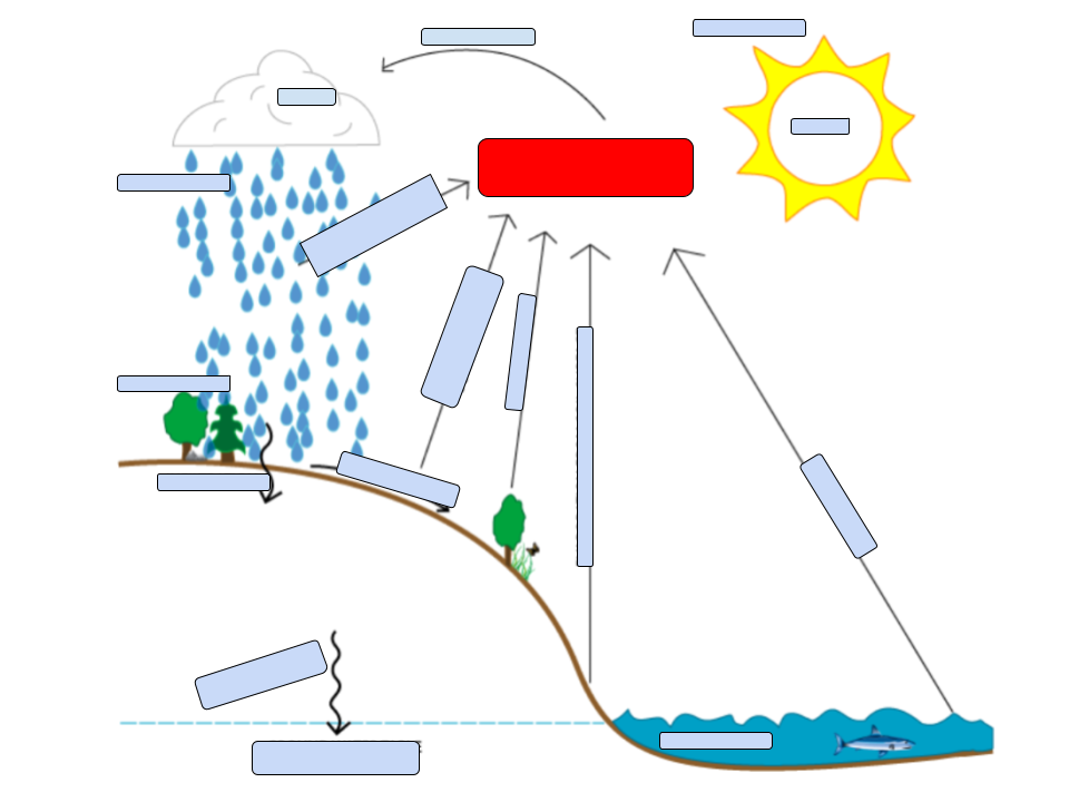 <p>identify the red bubble</p>