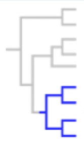 <p>this is a — group</p>