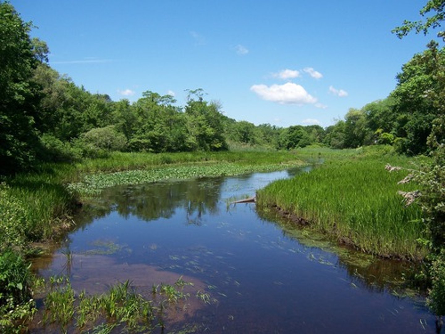 <p>Where the point of origin of the river is at.</p>
