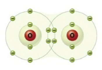 <p><span>The O<sub>2</sub> molecule pictured here shows two pairs of electrons shared between two oxygen atoms. This is an example of:&nbsp;&nbsp;</span></p><p><span>A-an ionic bond.</span></p><p><span>B-a strong double bond.</span></p><p><span>C-weak bonding between the two atoms.</span></p><p><span>D-two unstable atoms.</span></p><p><span>E-polar bonds between the two atoms.</span></p>