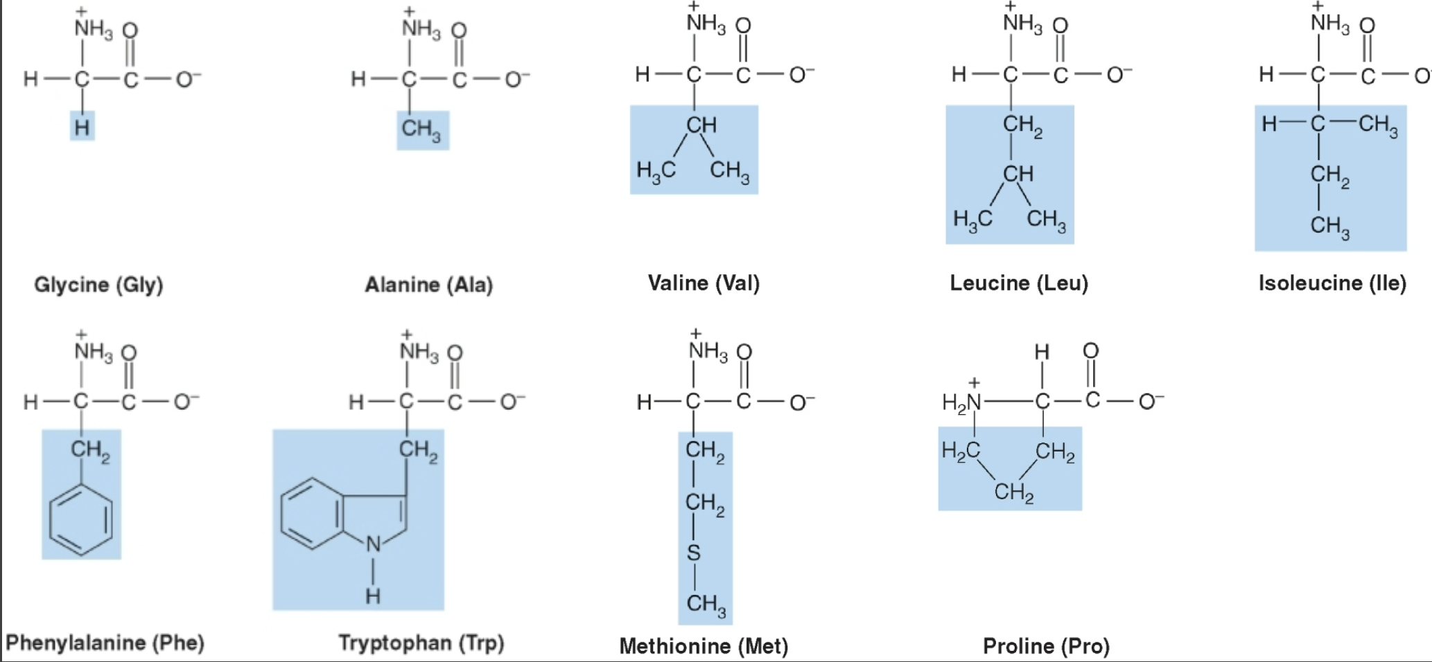 <p>Amino acids with hydrophobic/ side chains and has lipid like properties; tend to be in protein interiors  (aqueous solution)or membranes (hydrophobic environment)</p>