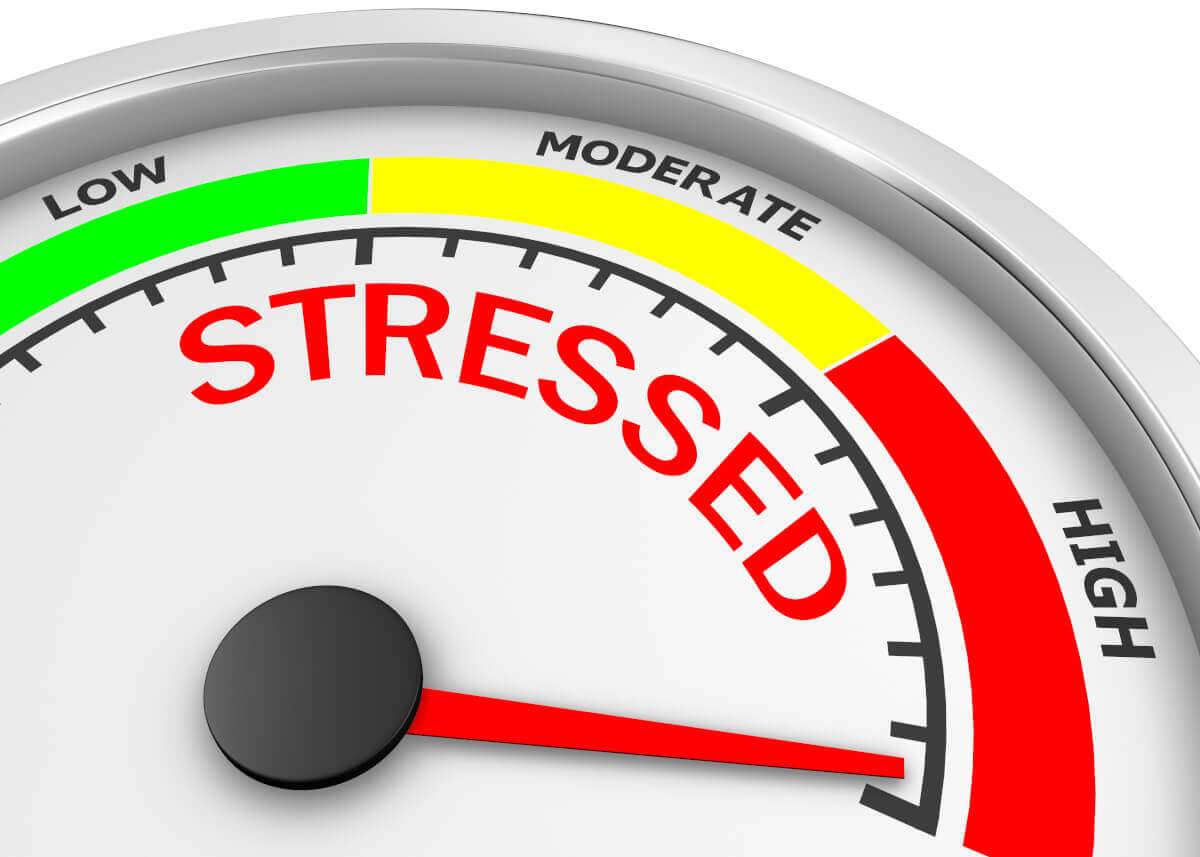 mức độ căng thẳng – Her stress levels increased before the exam.