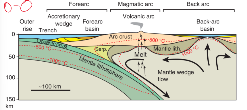 <ul><li><p>mafics-intermediates </p></li><li><p>from mantle </p></li><li><p>forearc, magmatic arc, back arc</p></li><li><p>accretionary wedge </p></li><li><p>trench—filled in</p></li></ul><p></p>