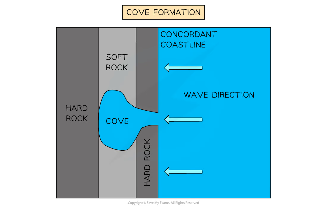 <ul><li><p><mark data-color="green">Hard and soft strata alternates </mark>- forming a <mark data-color="green">concordant </mark>coastline as one rock type is in contact with the sea. Strata of hard rock will form cliffs</p></li><li><p><mark data-color="green">Hard rock cliff face may crack </mark>- caused by<mark data-color="green"> erosion </mark>(<mark data-color="green">HA or abrasion</mark>)</p></li><li><p>Over time <mark data-color="green">hard rock is eroded away</mark>. - leaves a<mark data-color="green"> narrow channel through hard rock strata</mark>, eventually <mark data-color="green">exposing the less resistant rock behind</mark></p></li><li><p>Less resistant rock<mark data-color="green"> erodes faster </mark>than hard rock - creates a <mark data-color="green">wide, pool-like structure </mark>known as a <mark data-color="green">cove</mark></p></li><li><p>Erosion<mark data-color="green"> continues until the cove has extended to the next strata of hard rock</mark> where <mark data-color="green">erosion slows</mark> once again. So cove will not progress further inland</p></li><li><p>Waves will <mark data-color="green">diffract as they pass through the coves narrow opening </mark>and into the cove as they can no longer escape - providing enough <mark data-color="green">energy for erosion to continue</mark>. Cove continues to <mark data-color="green">widen over time</mark></p></li></ul>