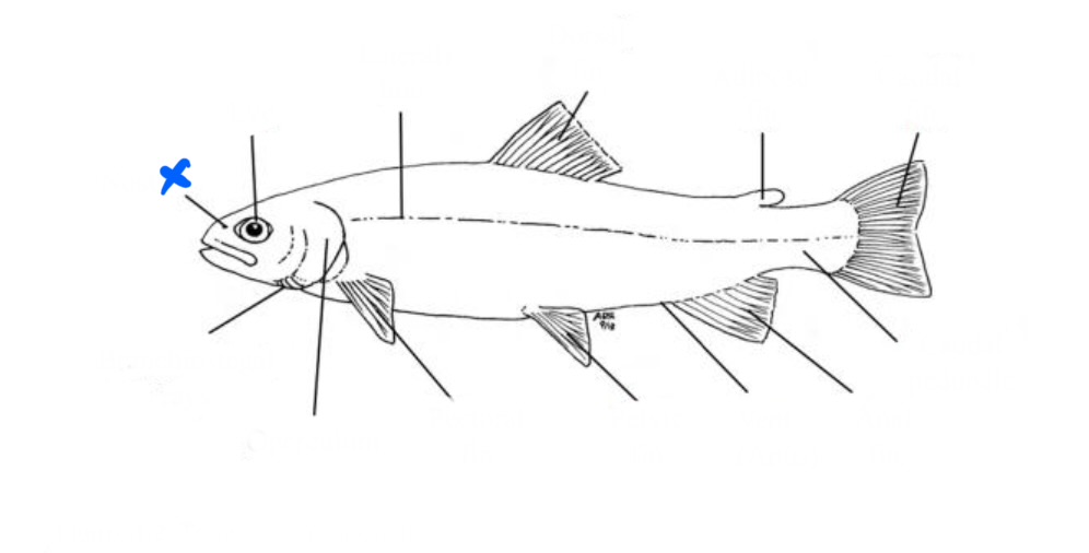 <p>What is this?</p>