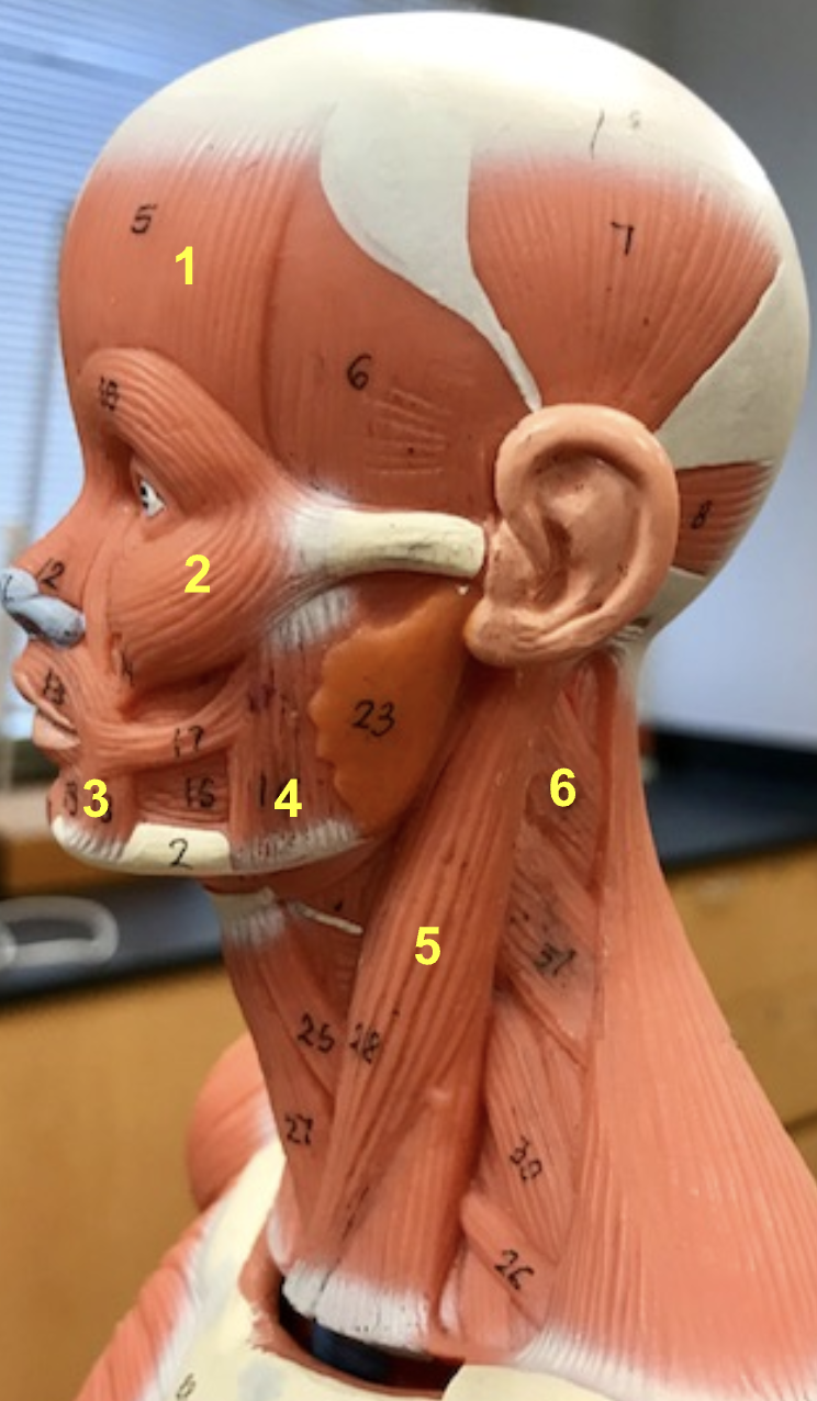 <p>What is 6 indicating</p>