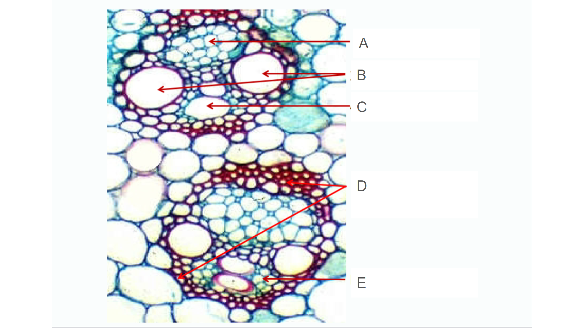 <p>What is B?</p>