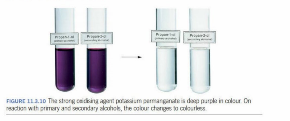 <p>Changes from purple (MnO<sub>4</sub><sup>-</sup>) to colorless (reduced to Mn<sup>+2</sup>), when secondary or primary alcohols are used.</p><p></p>