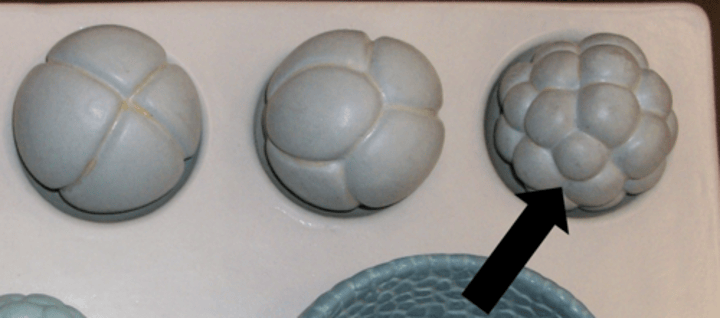 <p>Name the structure</p>