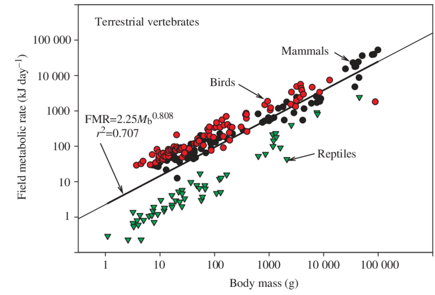 <p>Field metabolic rate/Daily Energy Expenditure</p><p>—cost of life in real world</p><p>• Importance: estimate</p>