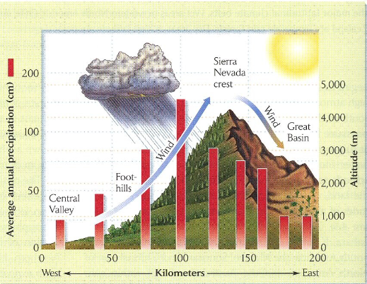<p>where winds push air over a mountain. As the air rises, it loses pressure and cools (adiabatic cooling) and also loses its ability to hold water, causing rain. The air that reaches the other side is now dry, causing a dry “shadow” on the far side</p>
