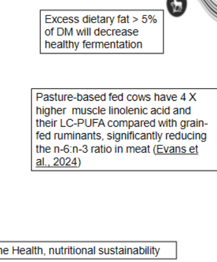 <p>no - it coats the bacteria and kills them</p><p></p><p>Conveniently, most plants are low in fat (and low in</p><p>energy)</p><p></p><p>Unsaturated fats are toxic to</p><p>cellulolytic bacteria – stops</p><p>fermentation</p><p>   •Bacteria hydrogenate to</p><p>saturated fats (uses up H2</p><p>reduces acidity</p><p>    •Can convert to non-toxic fatty</p><p>acids e.g. conjugated linoleic</p><p>acid (CLA)</p><p></p><p>Manufacturers provide protected fats</p><p>which bypass the rumen</p><p>• Free fatty acids(85-90%) &amp;</p><p>bacteria pass into SI -</p><p>• the phospholipds in their cell</p><p>membranes are absorbed in the</p><p>small intestine</p>