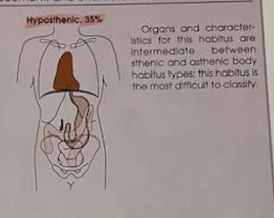 <p>one of four body habitus 35% frequency more than 85% of population has this or sthenic. </p>