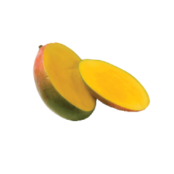 <p>which fruit is this?</p>