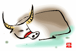 ox