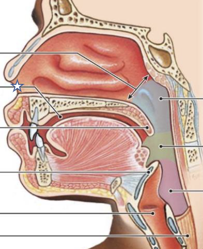 <p>What is this structure?</p>