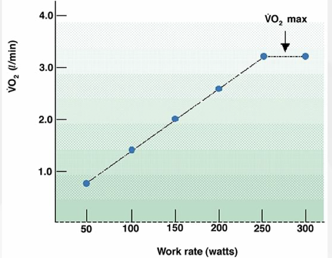 <p>Plateau in VO2 despite load/speed increase to next stage (less than 2ml/kg/min). However, this is only found in about ~40-50% of people</p><p></p><p></p>