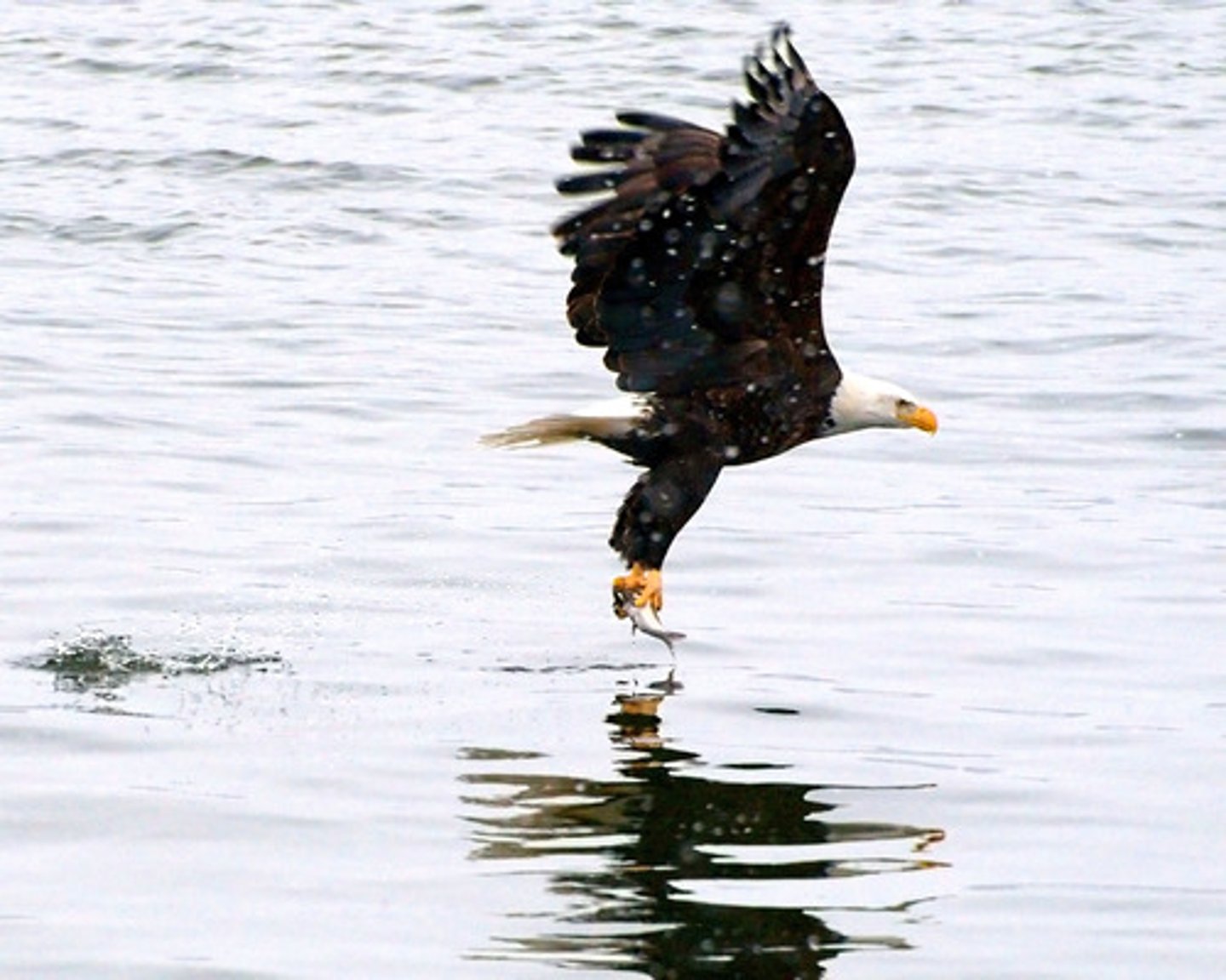 <p>all at once (chỉ bằng một nhát quyết định)</p><p>ex: While legal reforms can grant equal rights ..., the eradication of deeply ingrained social prejudices often requires generations of cultural evolution.</p>