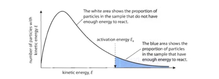 <h3><span class="heading-content"><em>A.K.A. Kinetic Energy Distribution:</em></span></h3><p>In most reactions, only a <strong>small fraction</strong> of the total collisions have sufficient energy for a reaction to occur. The collision energy depends on the <strong>kinetic energy</strong> of the colliding particles.</p><p>Plotting the number of particles versus the kinetic energy of the particles gives a curve like the one below:</p><p><strong>NOTE:</strong> The curve represents the distribution of the kinetic energy of collisions <u>at a given temperature</u>. The activation energy is <u><strong>independent</strong></u> of temperature (it does not change when temperature changes!).</p>