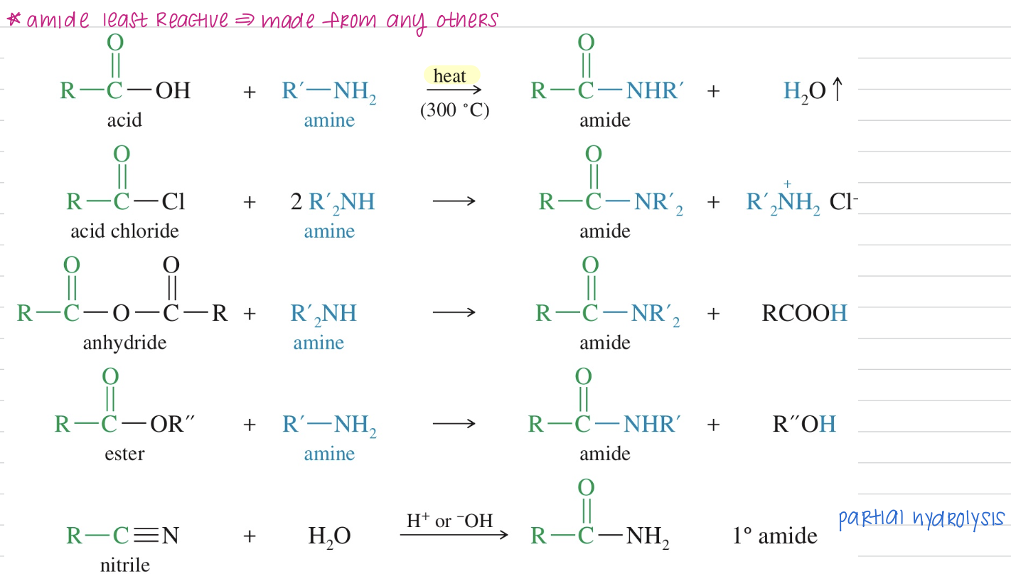<p>Bc amide is least reactive » made from any others </p>