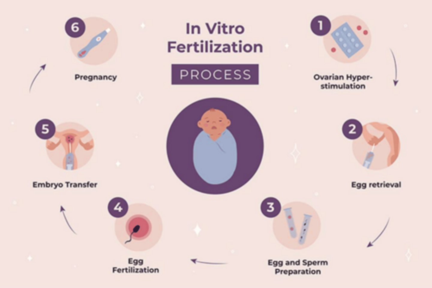 <p>Controlled ovarian stimulation and oocyte retrieval with fertilization occuring in the lab</p>