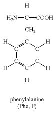 <ul><li><p>Aromatic benzene ring</p></li><li><p>Nonpolar, hydrophobic</p></li><li><p>Protein core</p></li></ul><p></p>