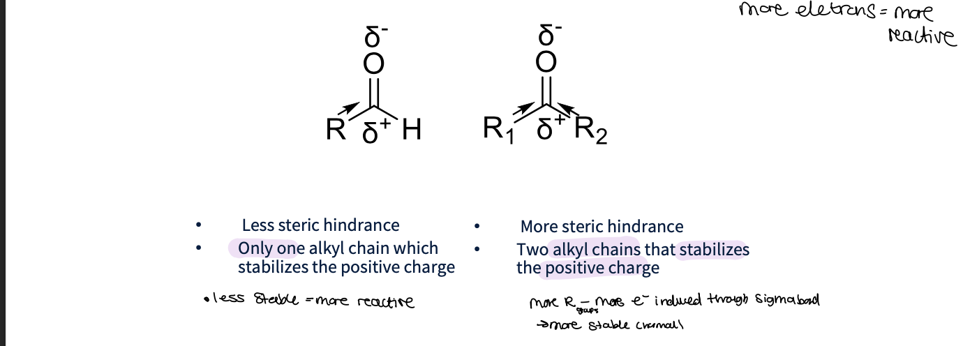 <p>In aldehydes <span data-name="regional_indicator_a" data-type="emoji">🇦</span>:</p><ul><li><p>Less steric hindrance</p></li><li><p class="p1"><span>Only one alkyl chain which stabilizes the positive charge</span></p></li><li><p>less stable as less alkyl groups lower electron releasing effect so = more reactive </p></li></ul><p>In Ketone: </p><ul><li><p>More steric hindrance</p></li></ul><p class="p1"><span>• Two alkyl chains that stabilizes</span></p><p class="p1">the positive charge </p><ul><li><p class="p1">more R  groups = more Electrons induced through sigma bonds = more stable </p></li><li><p class="p1"></p></li></ul><p></p>
