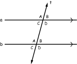<p>interior angles on the same side of the transversal </p>