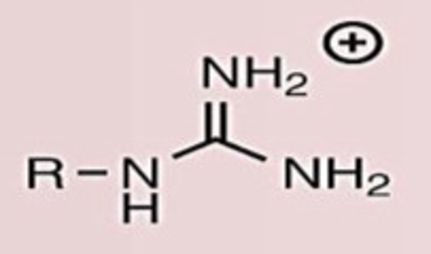 <p>Conj. Acid</p>