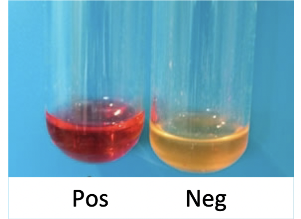 Testing for intermediate, add KOH and an a-naphthol, mix and wait 20 min

\+ red

\- yellow