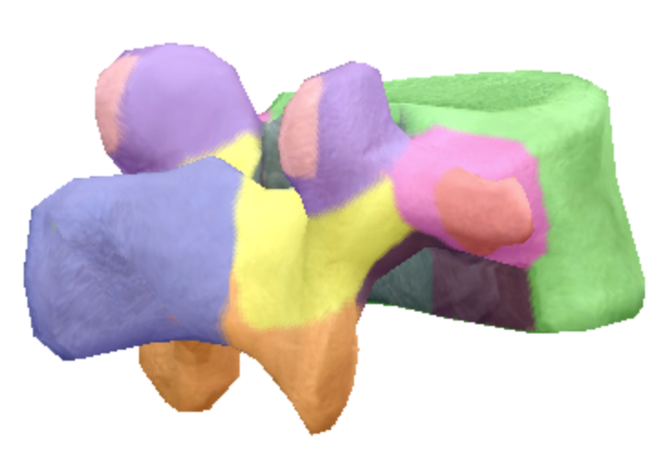 <p>Where is the inferior notch located on the lumbar spine vertebra?</p>