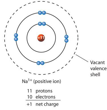 <p>A positively charged ion, formed by a lost of electrons</p>