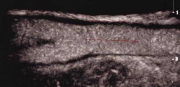 <p>what does this image depict?</p>