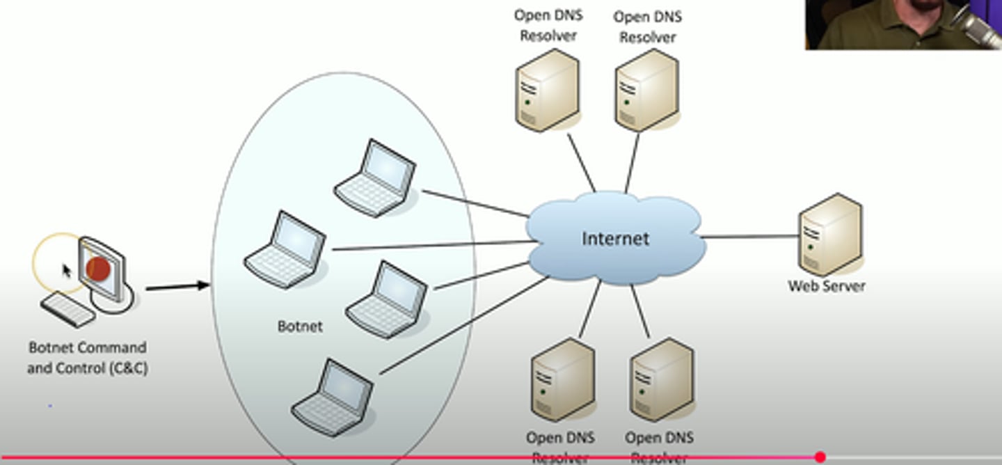 <p>botnets receive commands to send requests to open DNS resolvers for large DNS keys or other large info.</p><p>they spoof the sender of the request as their target instead of themselves.</p>