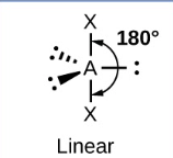 <p>linear</p>