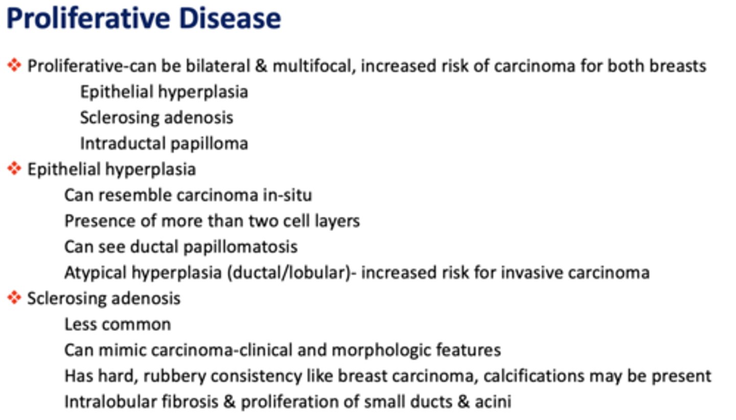 <p>proliferative</p>