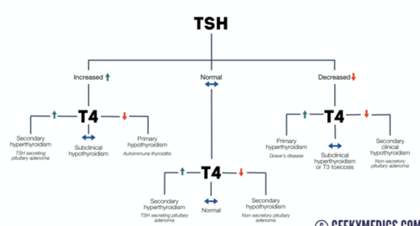 <p>TSH chart reference</p>