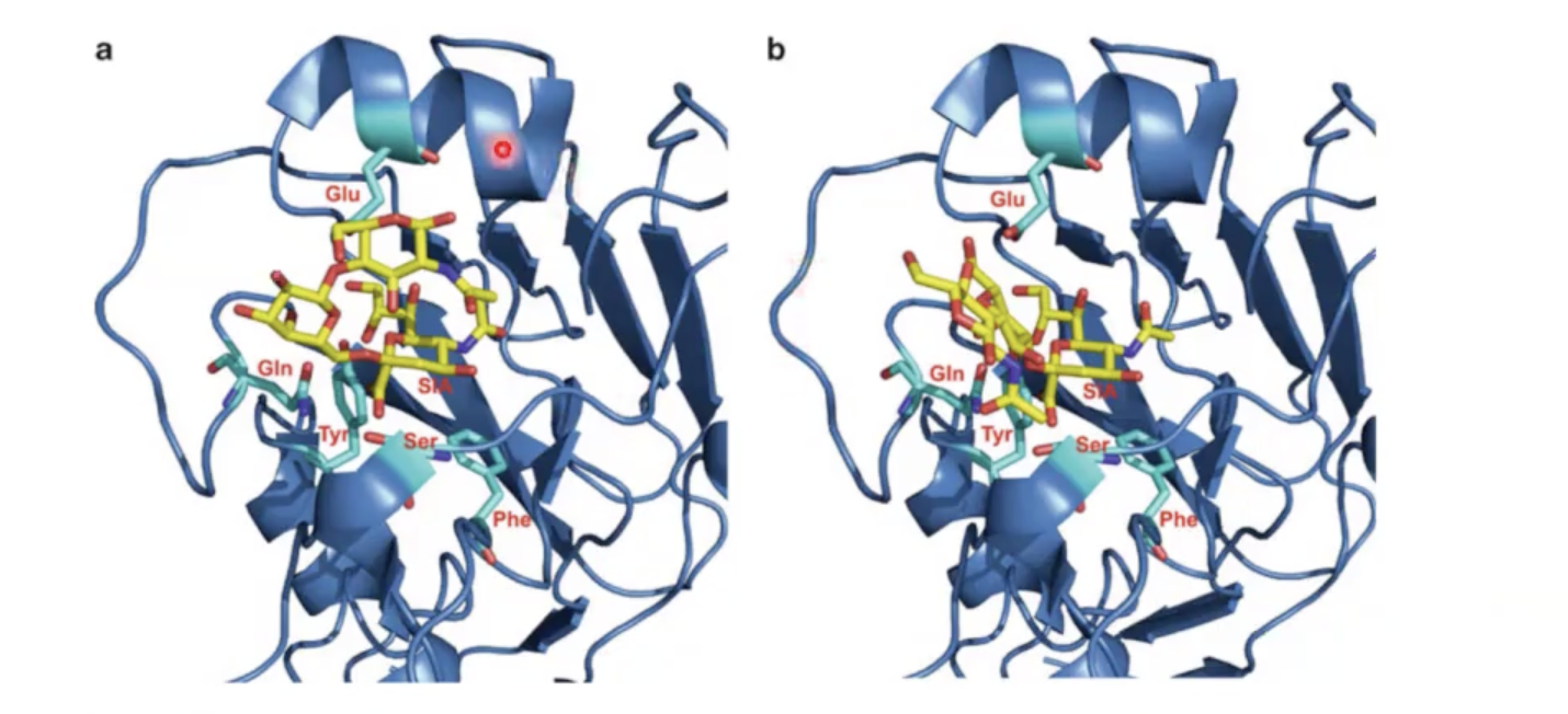 <p>significance of this picture:</p>