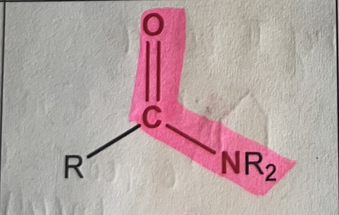 <p>what is shown above</p>